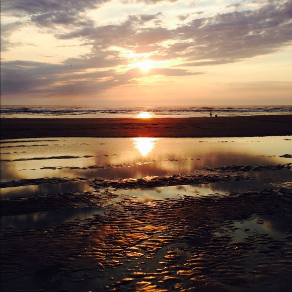 Hii - Picture 1 of 1